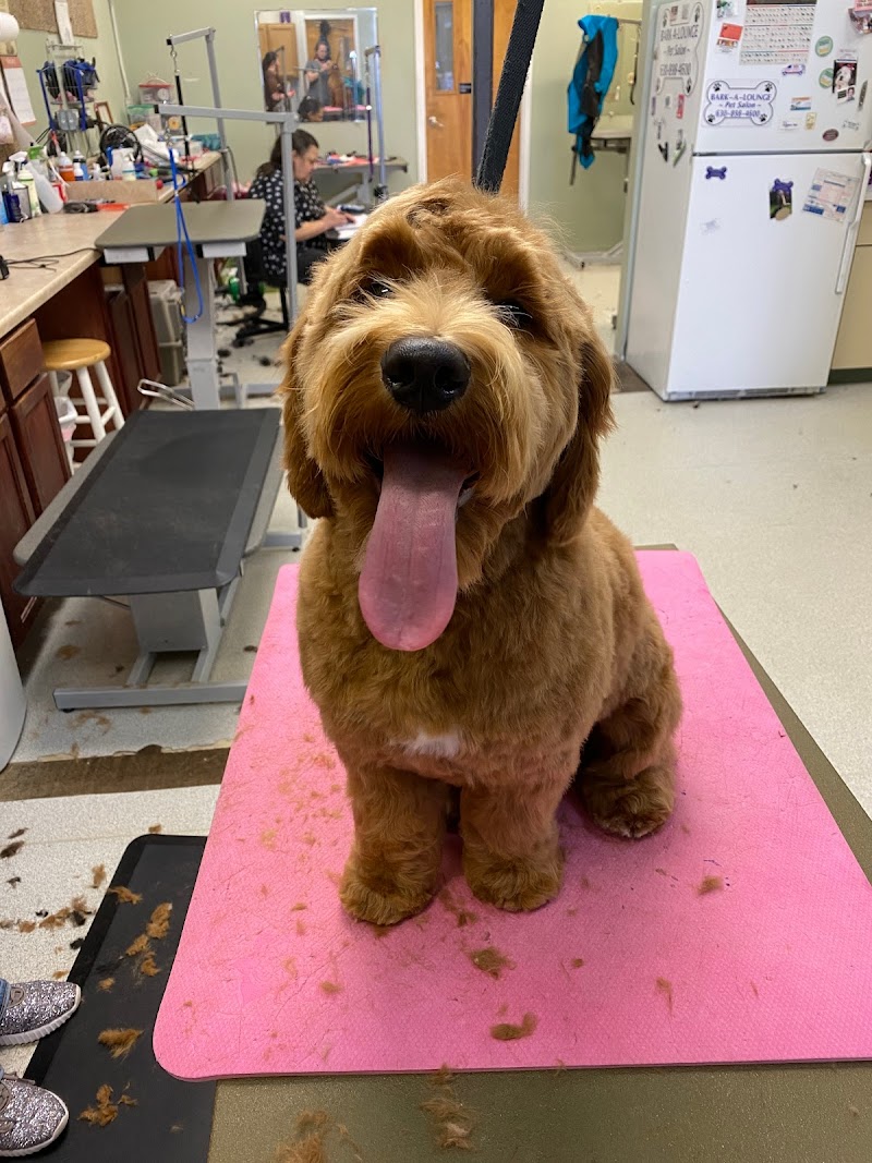 Bark A Lounge Pet Salon photo 2