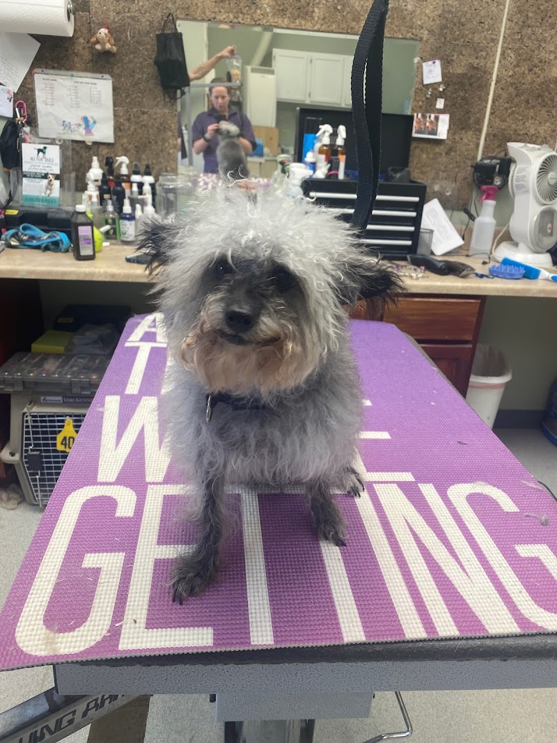 Bark A Lounge Pet Salon photo 3