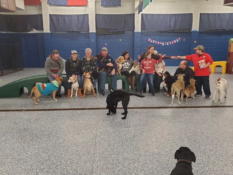 The Woof Dog Daycare & Boarding photo 2