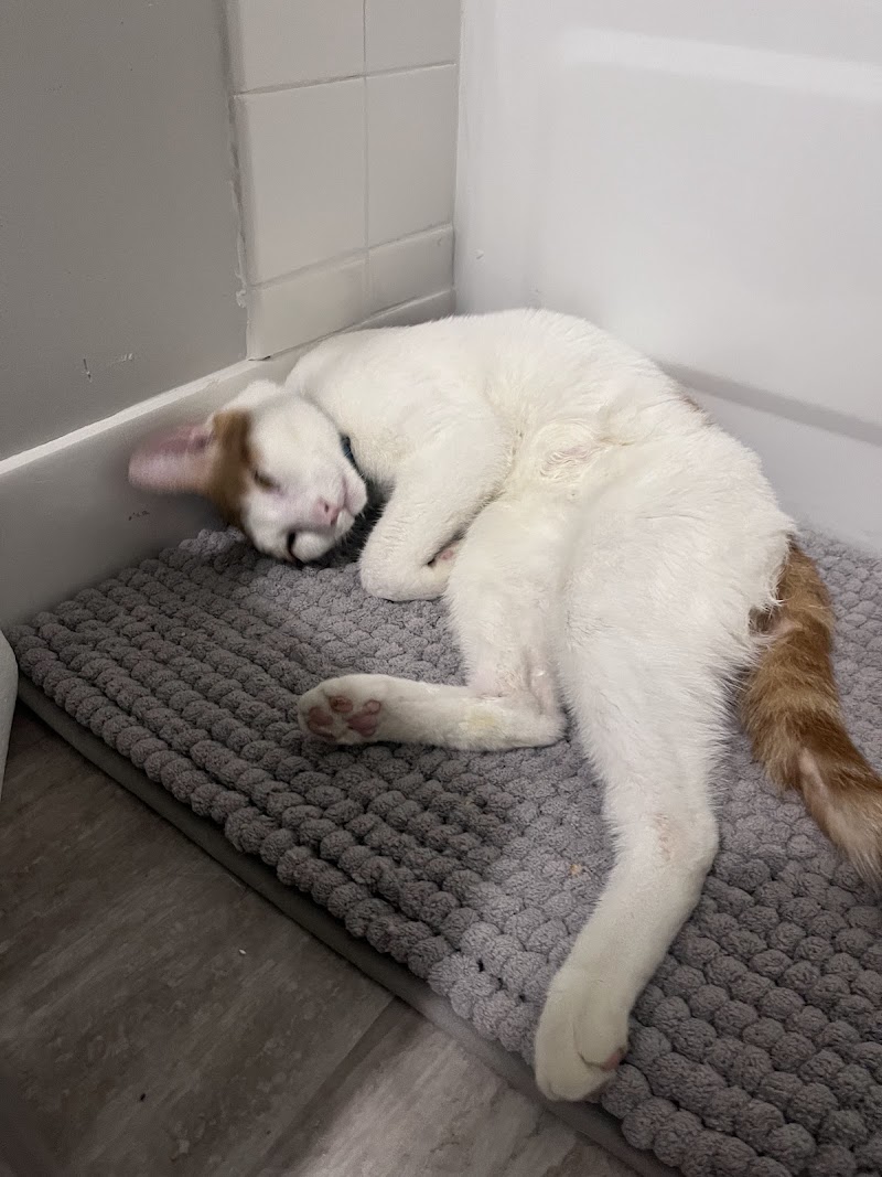 Animal Emergency & Referral Center of Minnesota photo 2