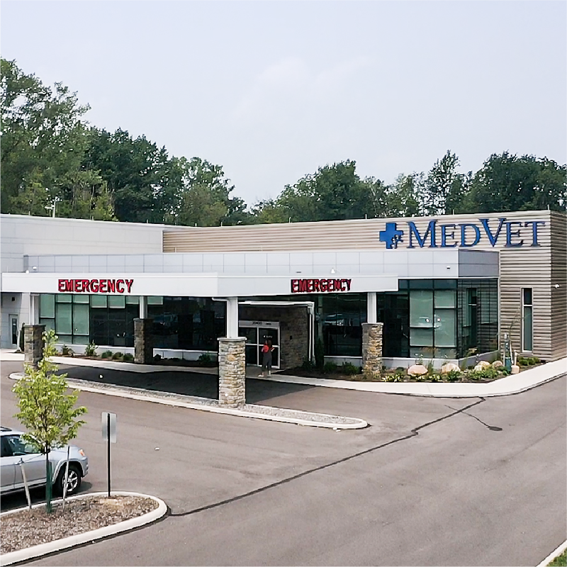 MedVet Cleveland