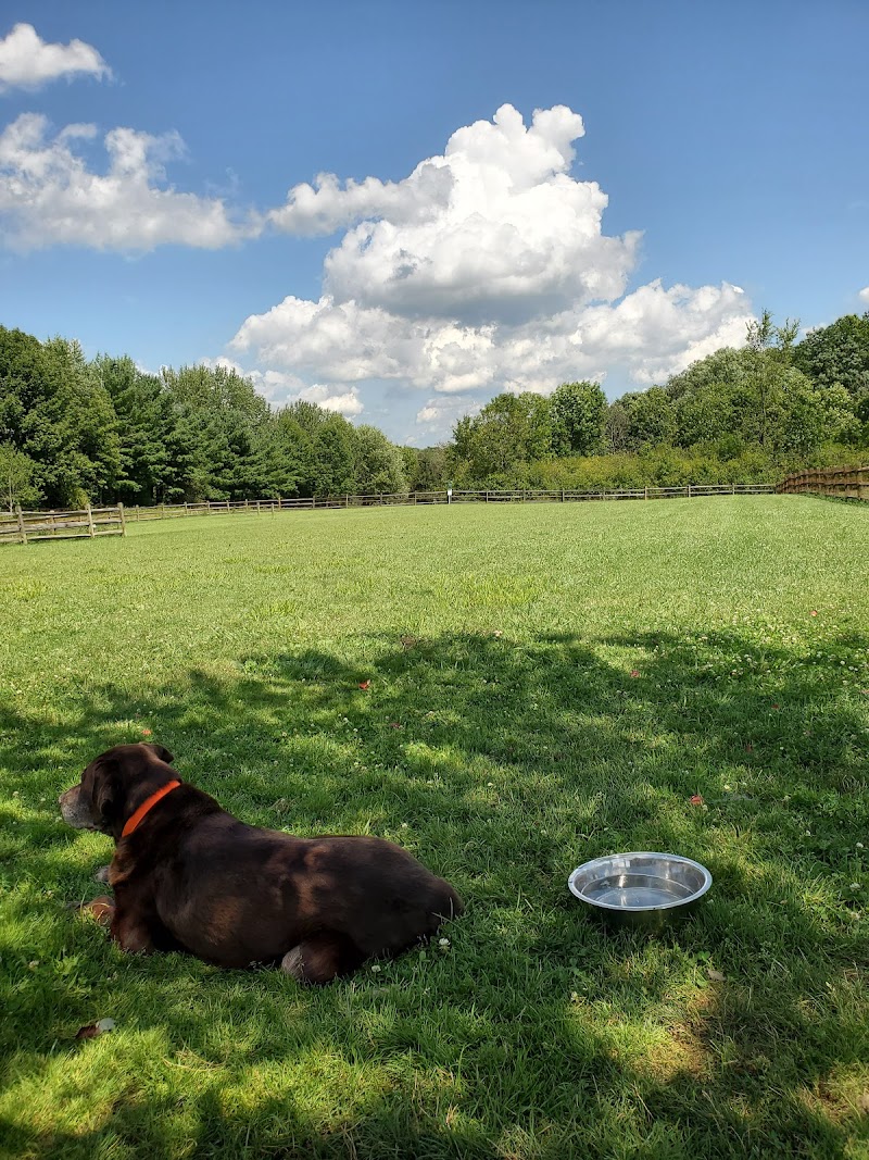 Tails And Trails Dog Park