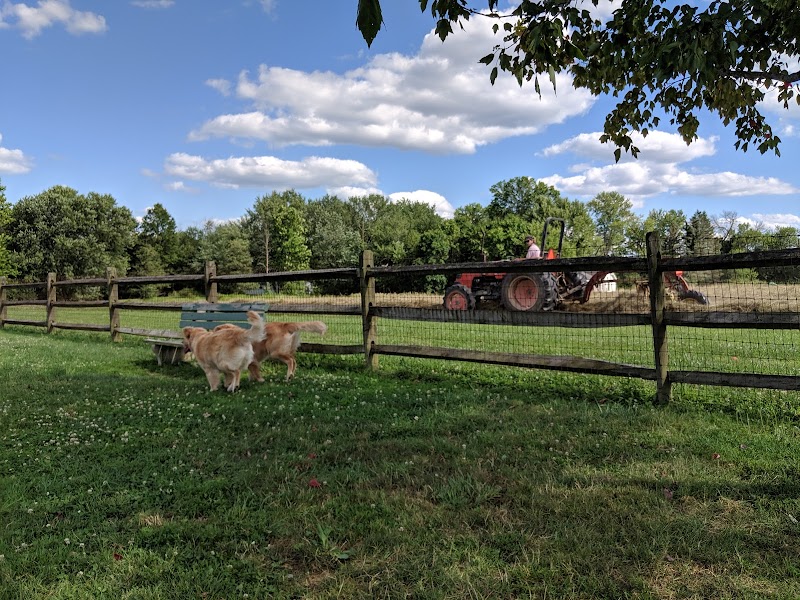 Tails And Trails Dog Park photo 2