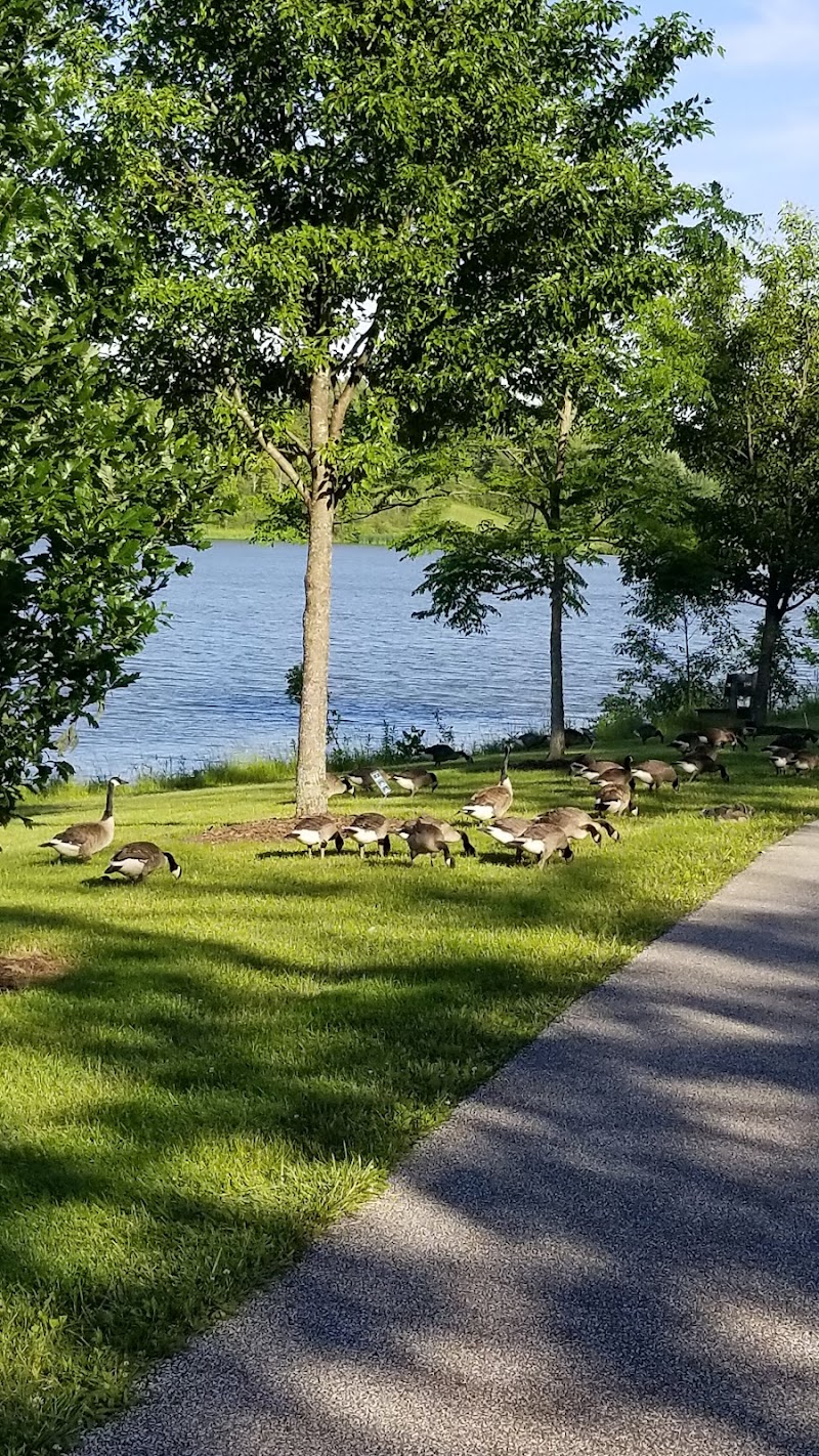 Tails And Trails Dog Park photo 3