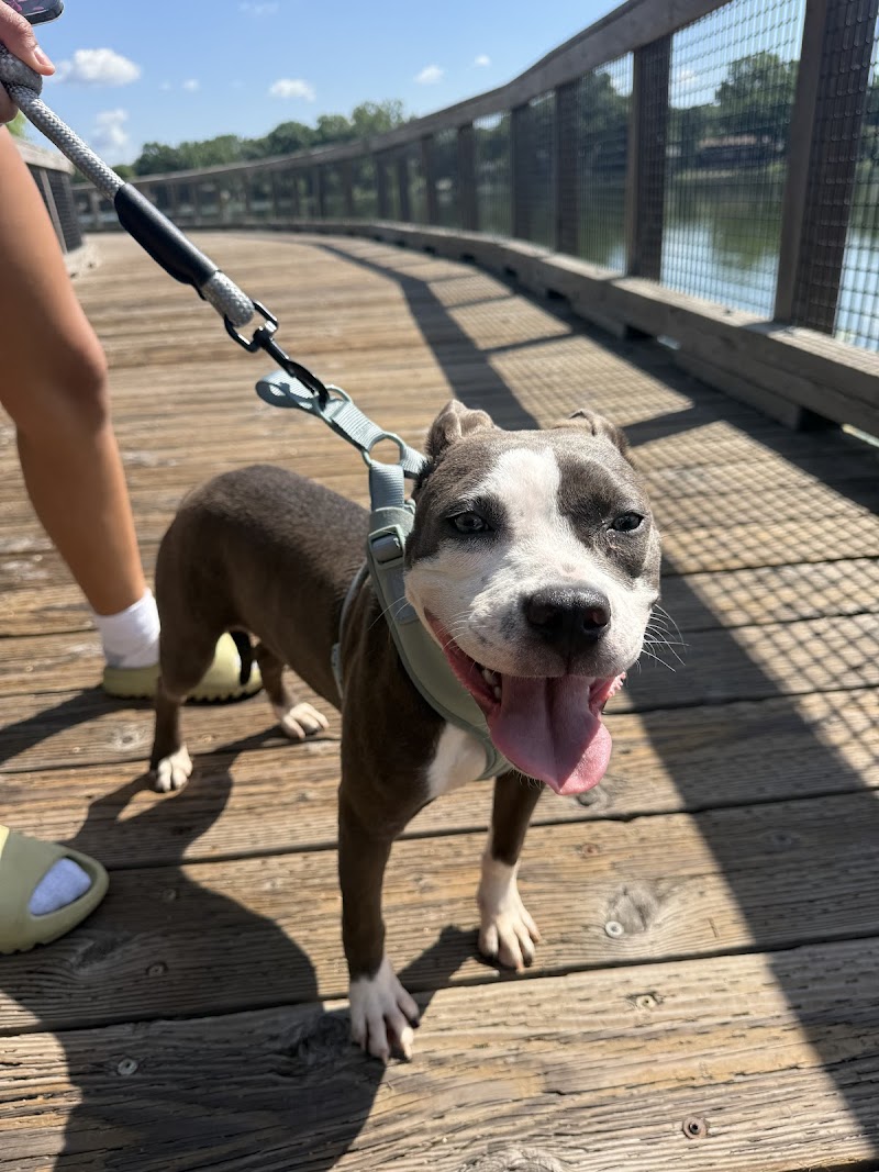 Minneapolis animal care and control