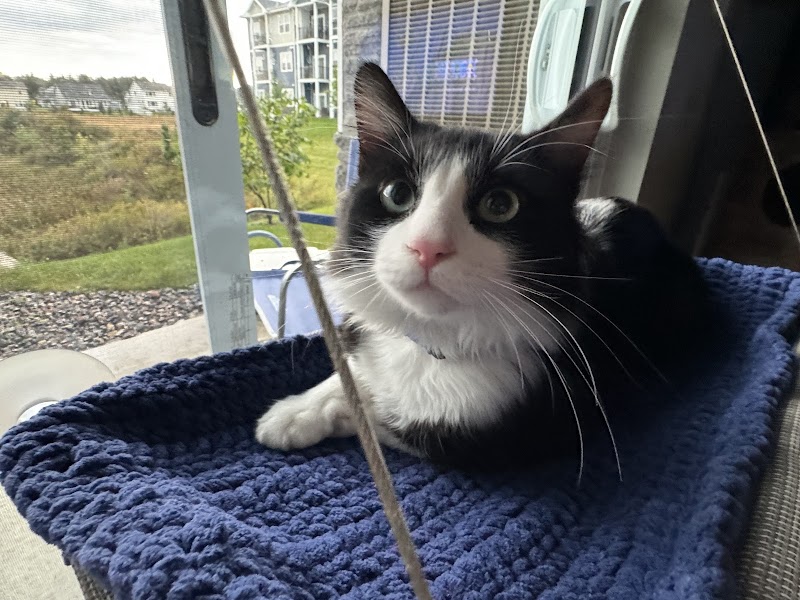 Minneapolis animal care and control photo 3