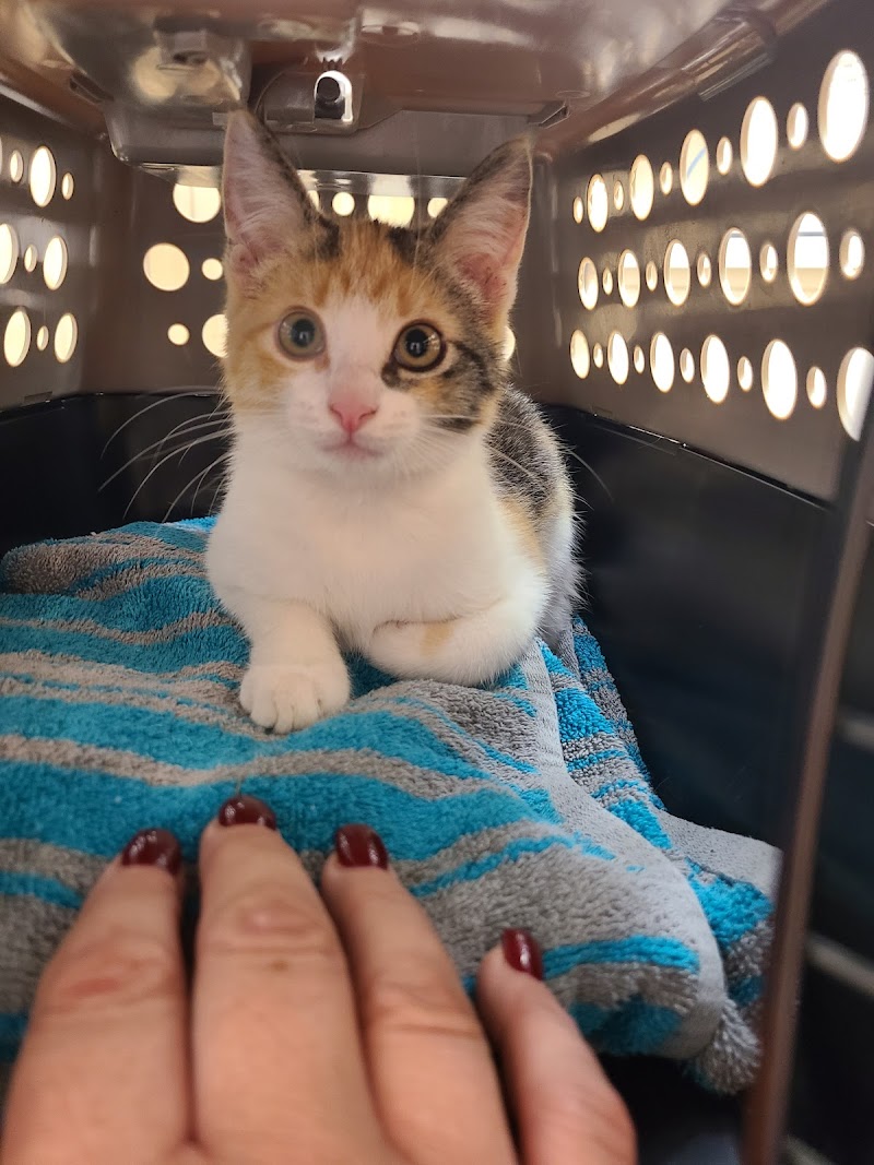 Elyria Animal Hospital photo 3