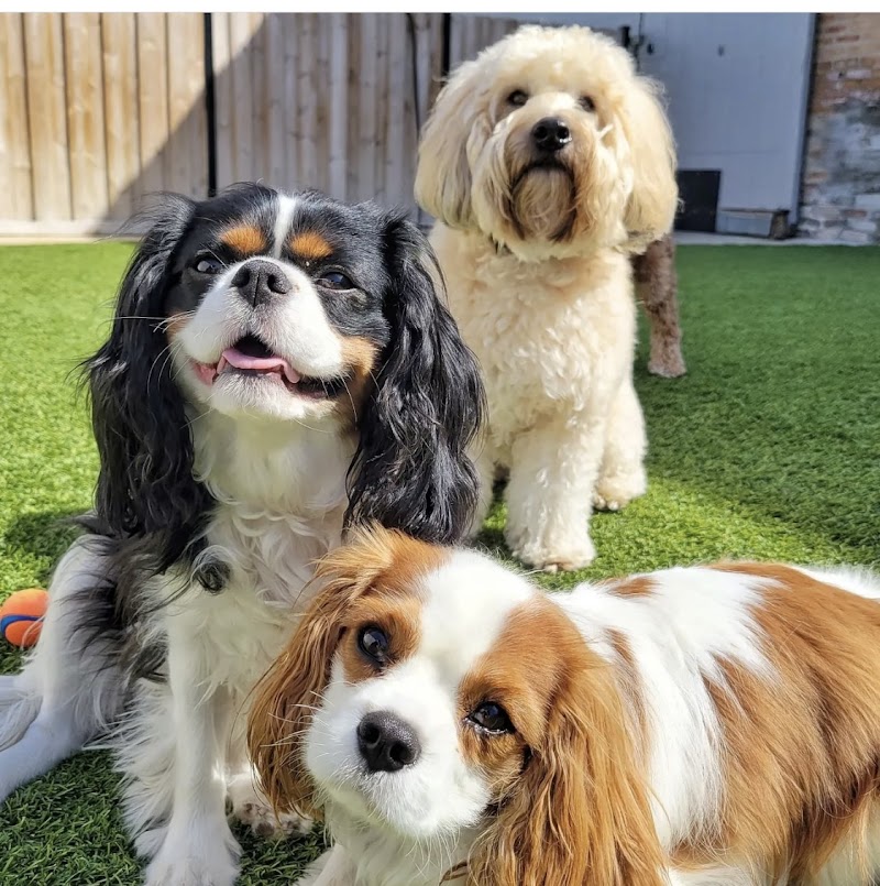 Chicago Packtive photo 2