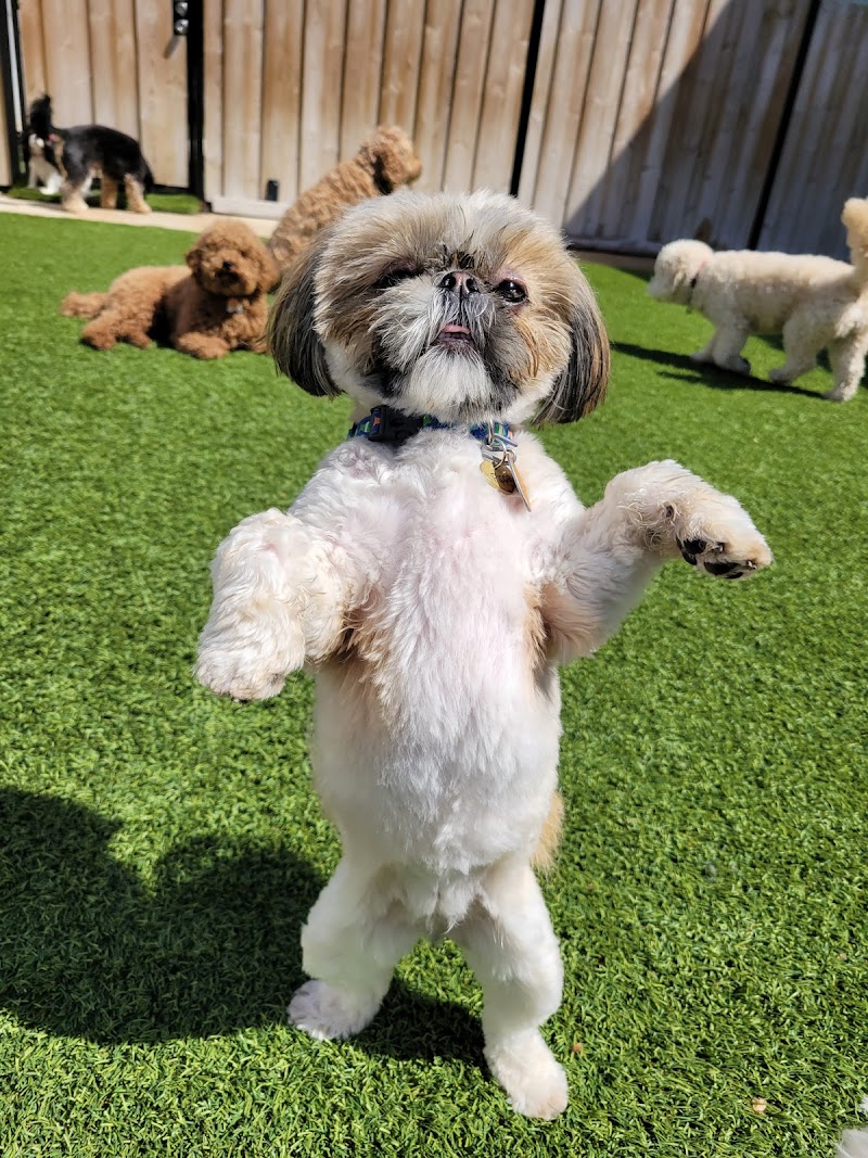 Chicago Packtive photo 3