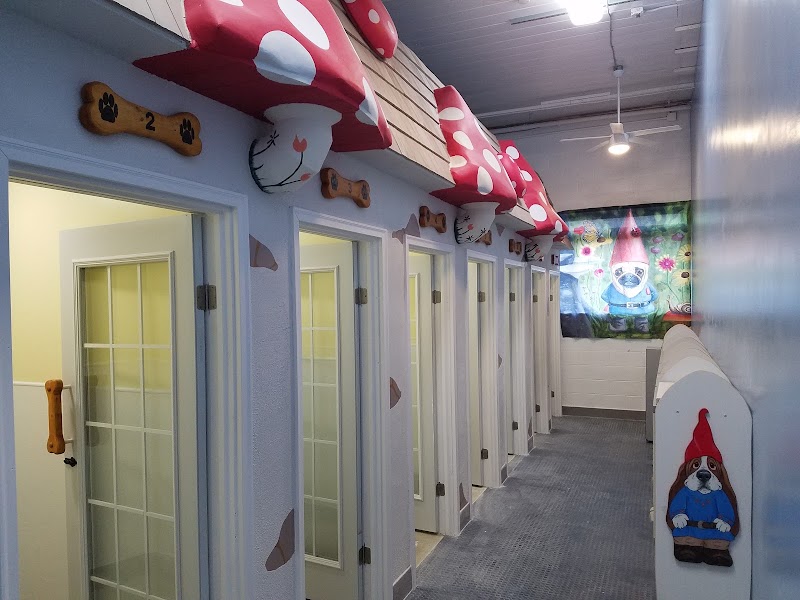 Hallidays Pet Resort & Day Care photo 2