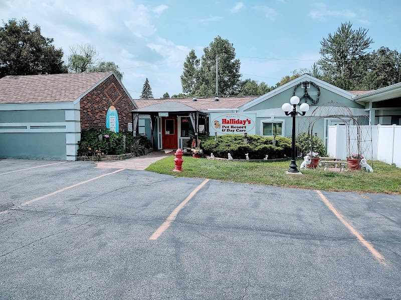 Hallidays Pet Resort & Day Care photo 3