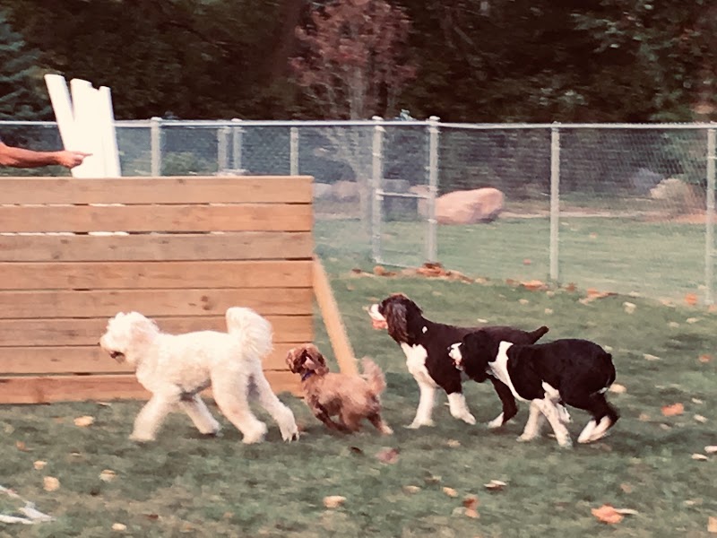 Off the Leash Dog Park photo 3