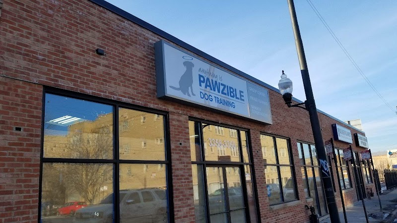 Anything Is Pawzible