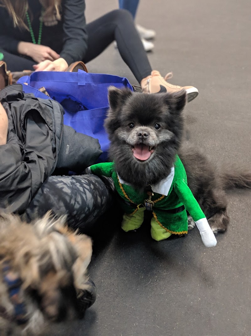 Anything Is Pawzible photo 3