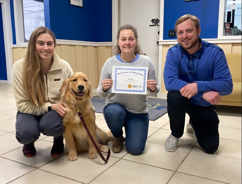 Controlled K9 photo 3