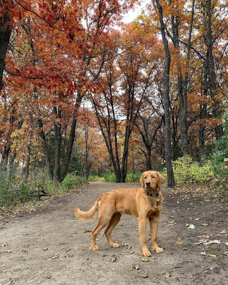 Southbridge Community Dog Park photo 2