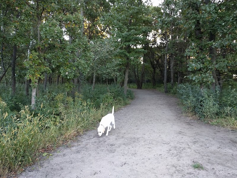 Southbridge Community Dog Park photo 3