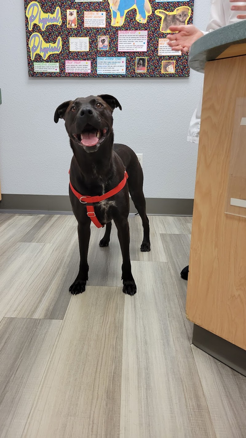 Waukesha Animal Hospital photo 3