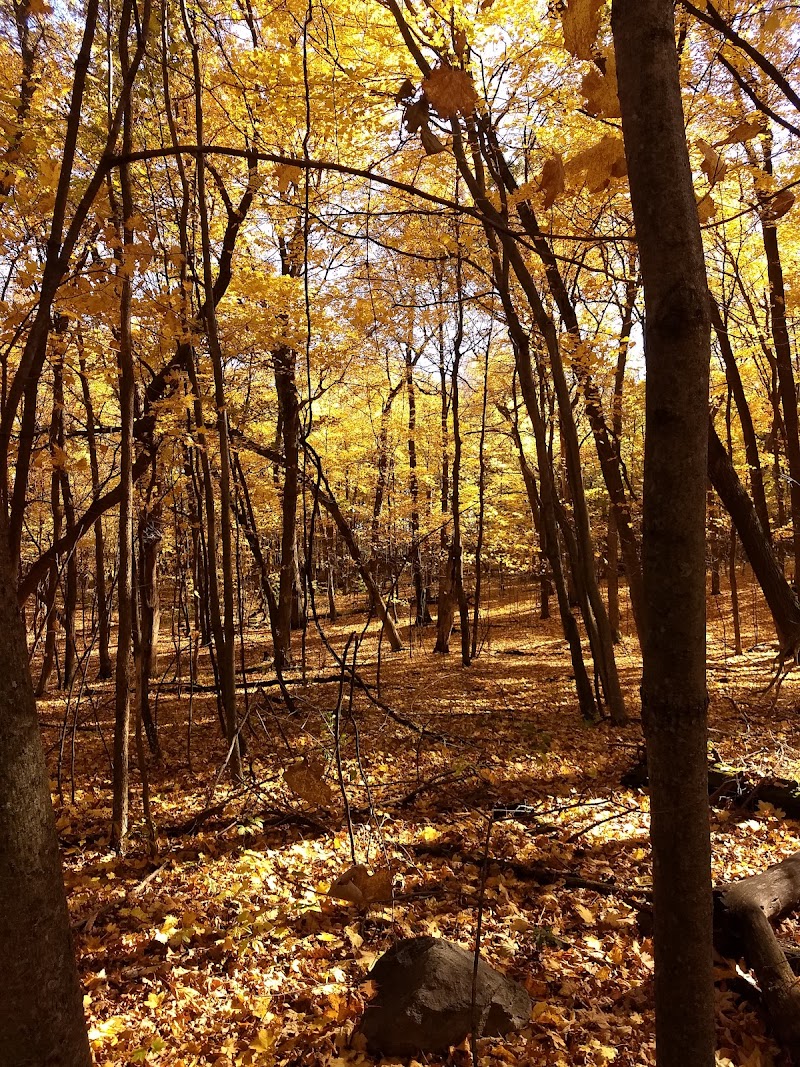 Spring Lake Dog Off-Leash Area