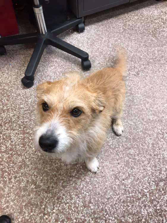 Ark Pet Hospital photo 2