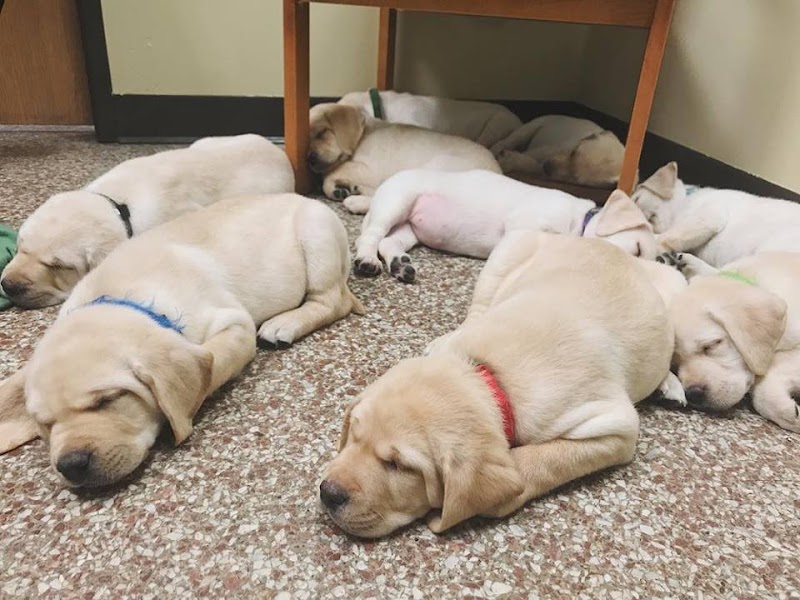 Ark Pet Hospital photo 3