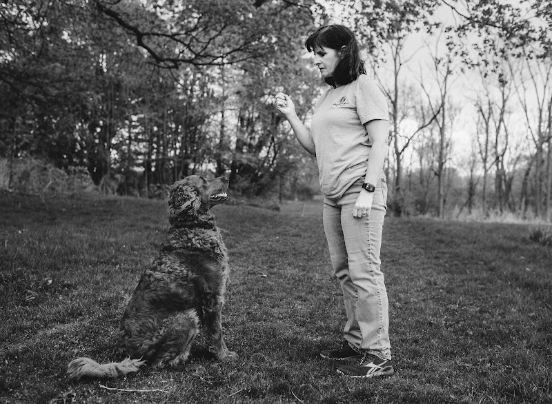 Wags2Whiskers Pet Services LLC