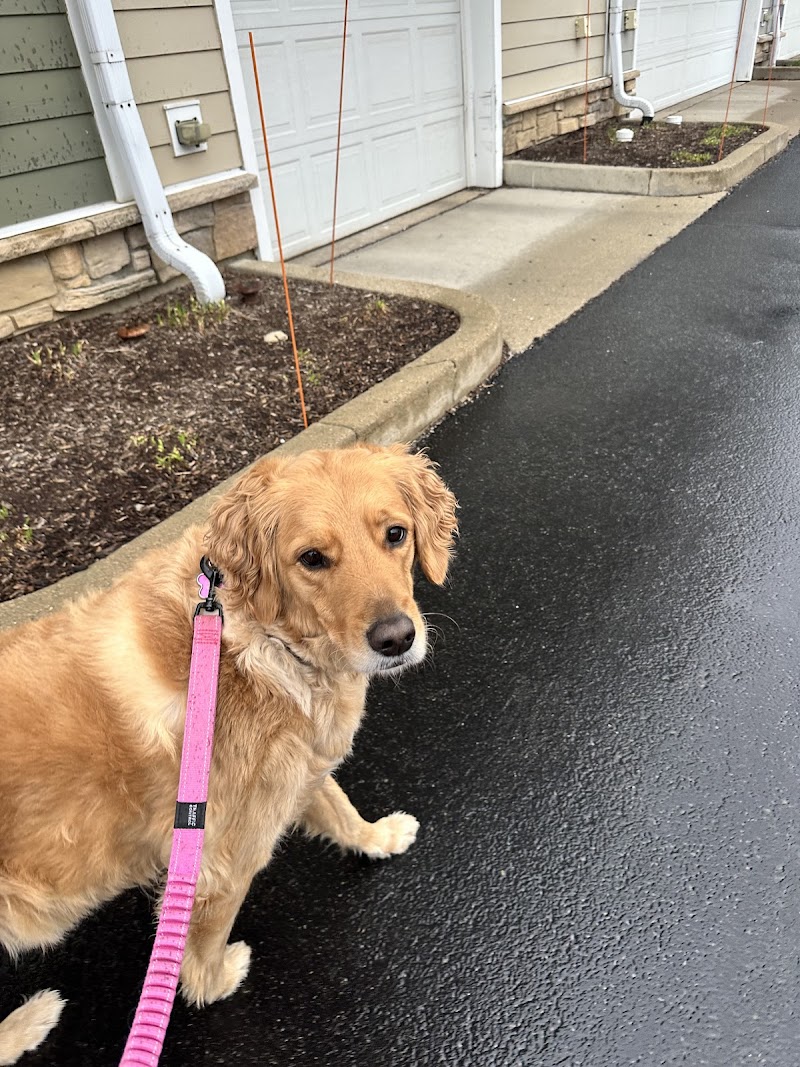 Wags2Whiskers Pet Services LLC photo 2