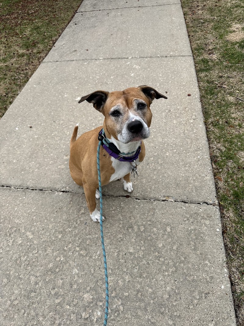 Wags2Whiskers Pet Services LLC photo 3