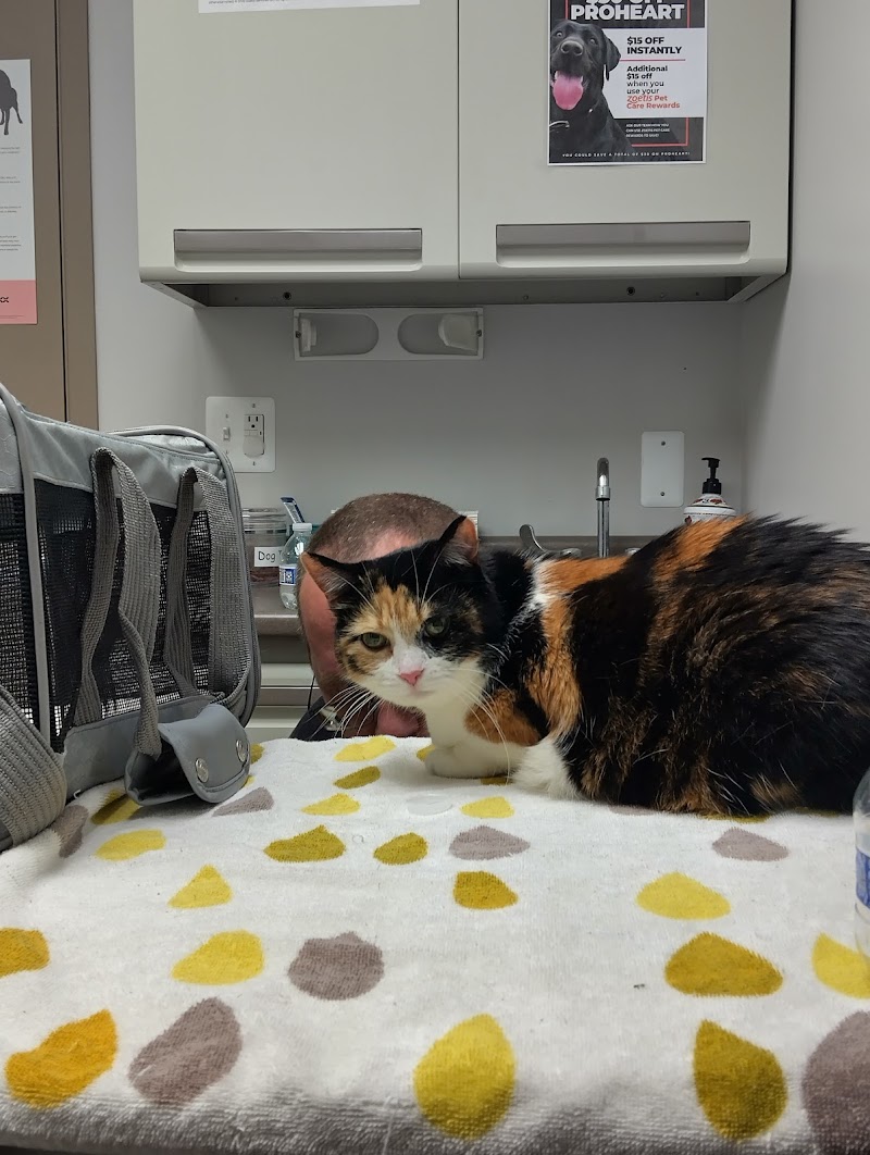 Berkley Animal Hospital