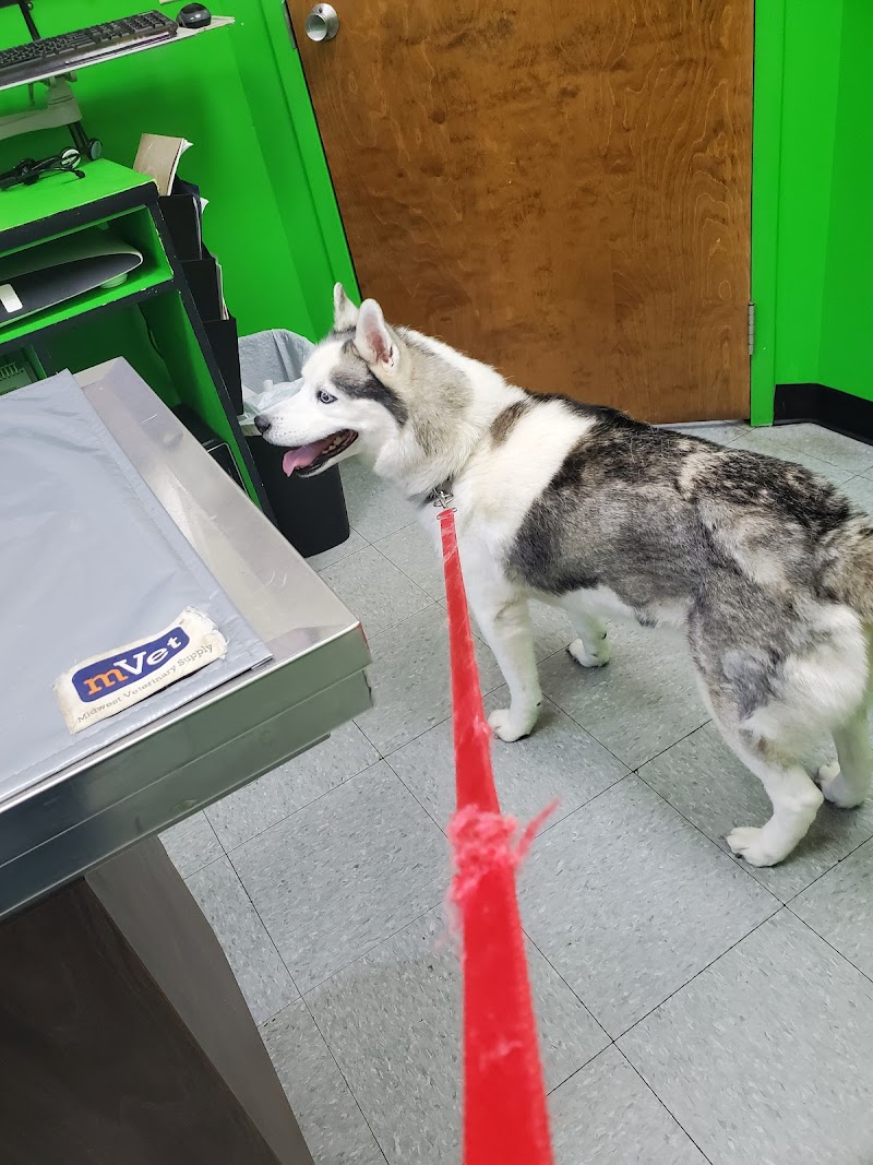 Columbia Animal Clinic photo 2