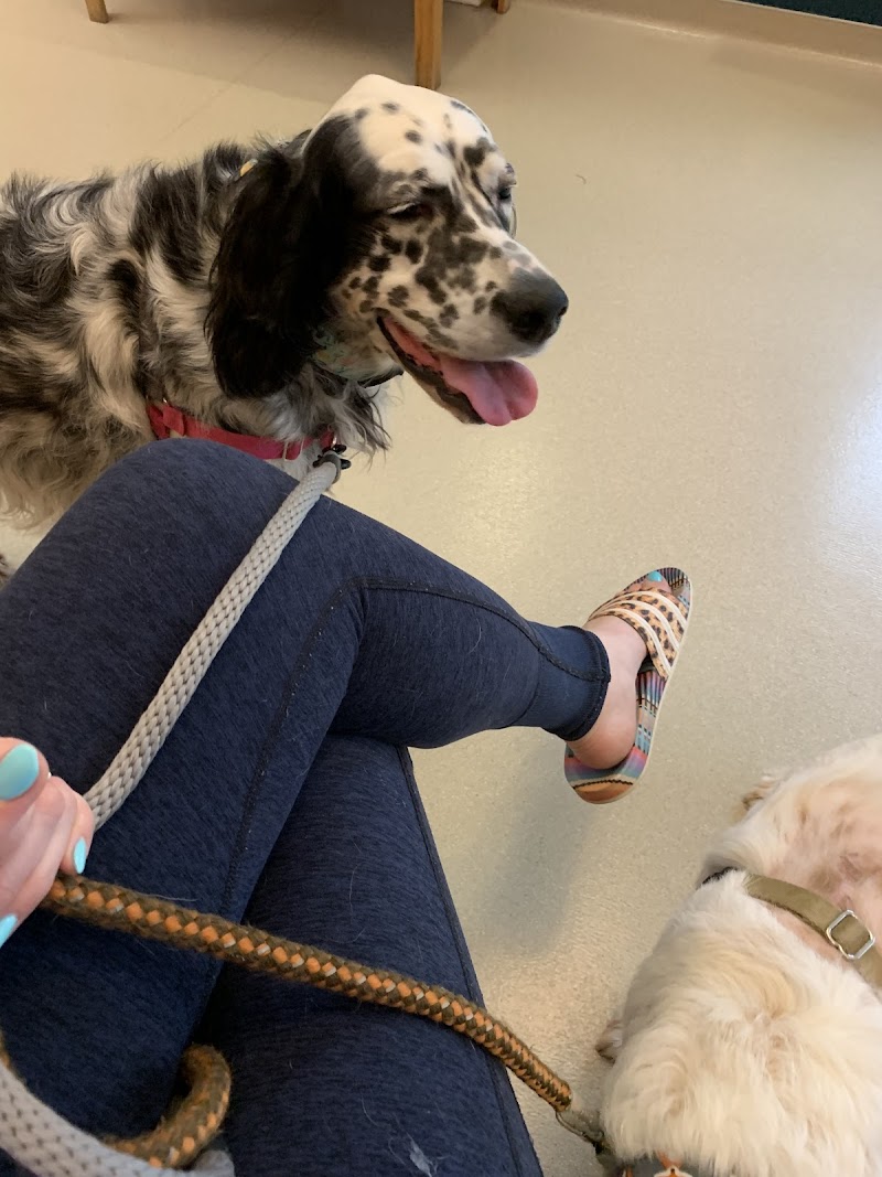 Shorewood Animal Hospital