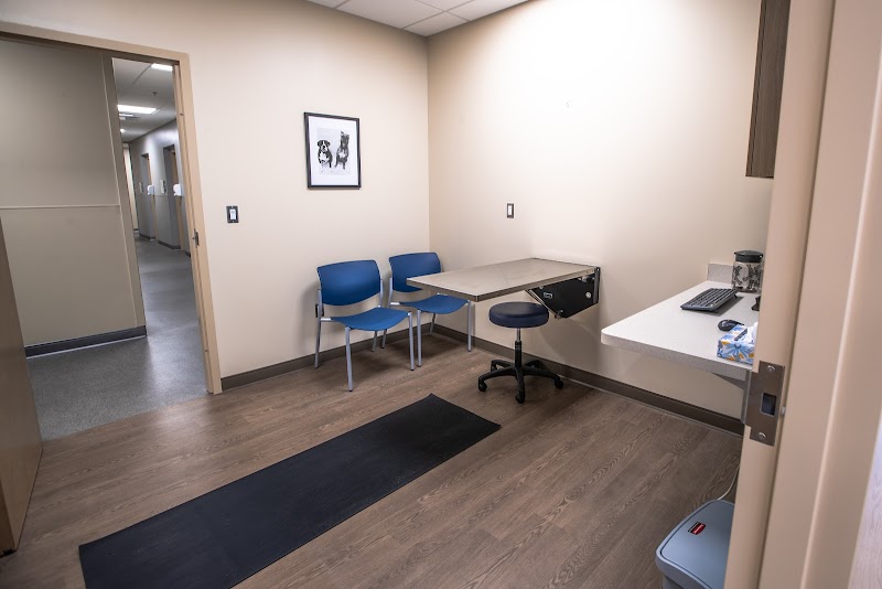 MedVet Chicago photo 3