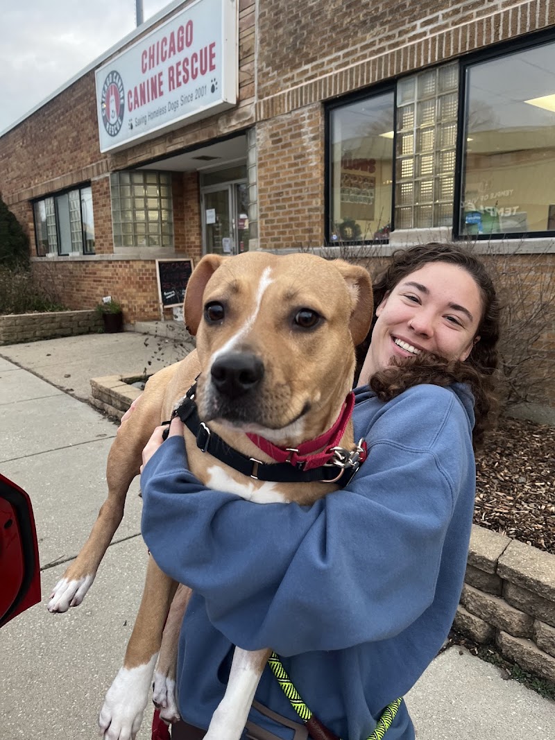 Chicago Canine Rescue photo 3