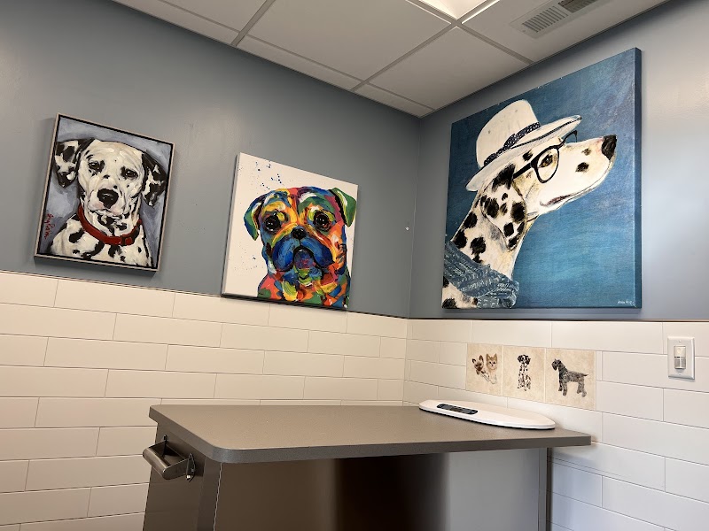 Skadron Animal Hospital photo 3