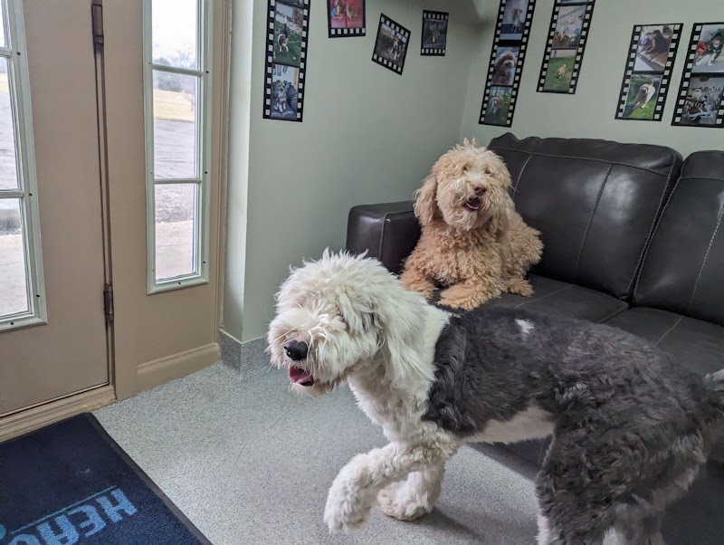 Heavenly Care Kennels