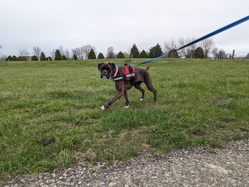 Heavenly Care Kennels photo 3
