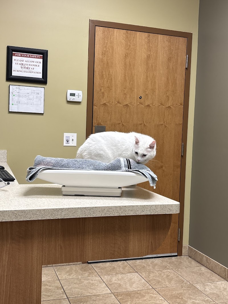 College Station Cat Clinic
