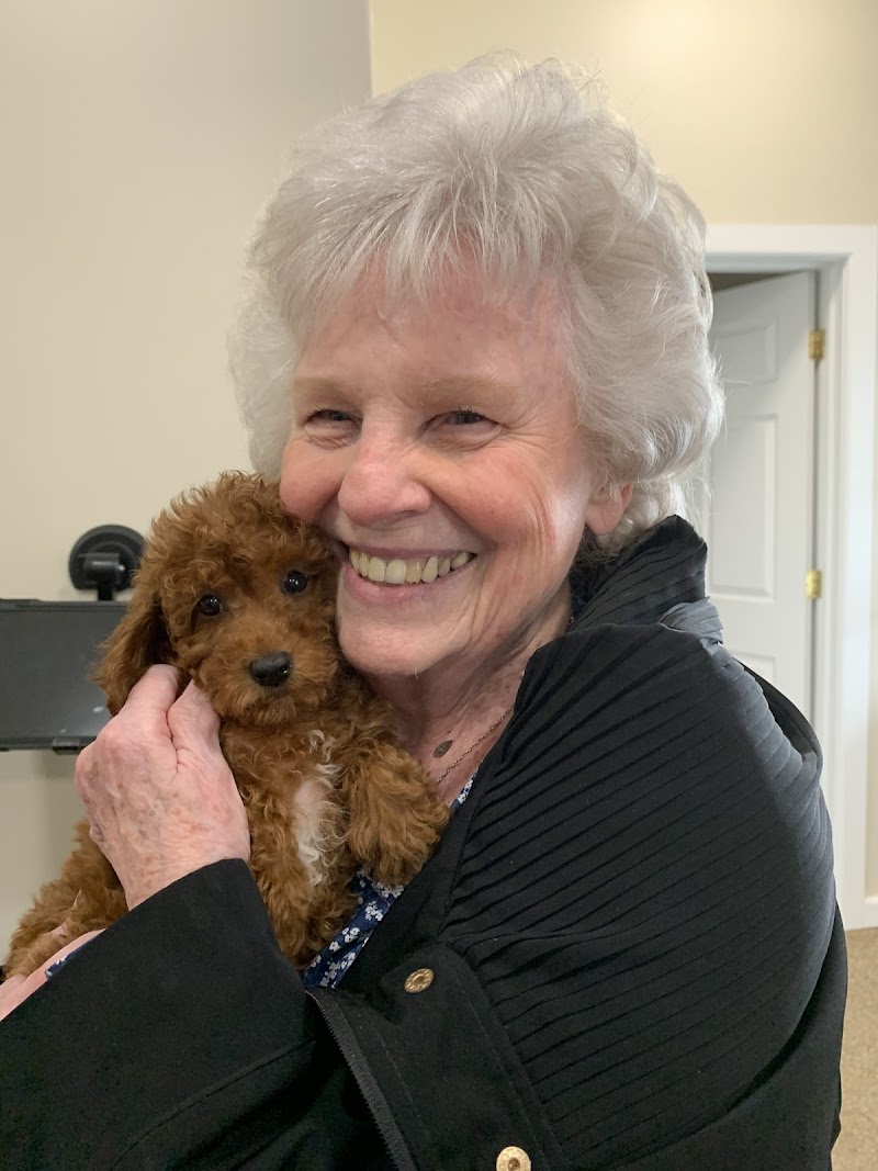 Twilight - Well Pets photo 2