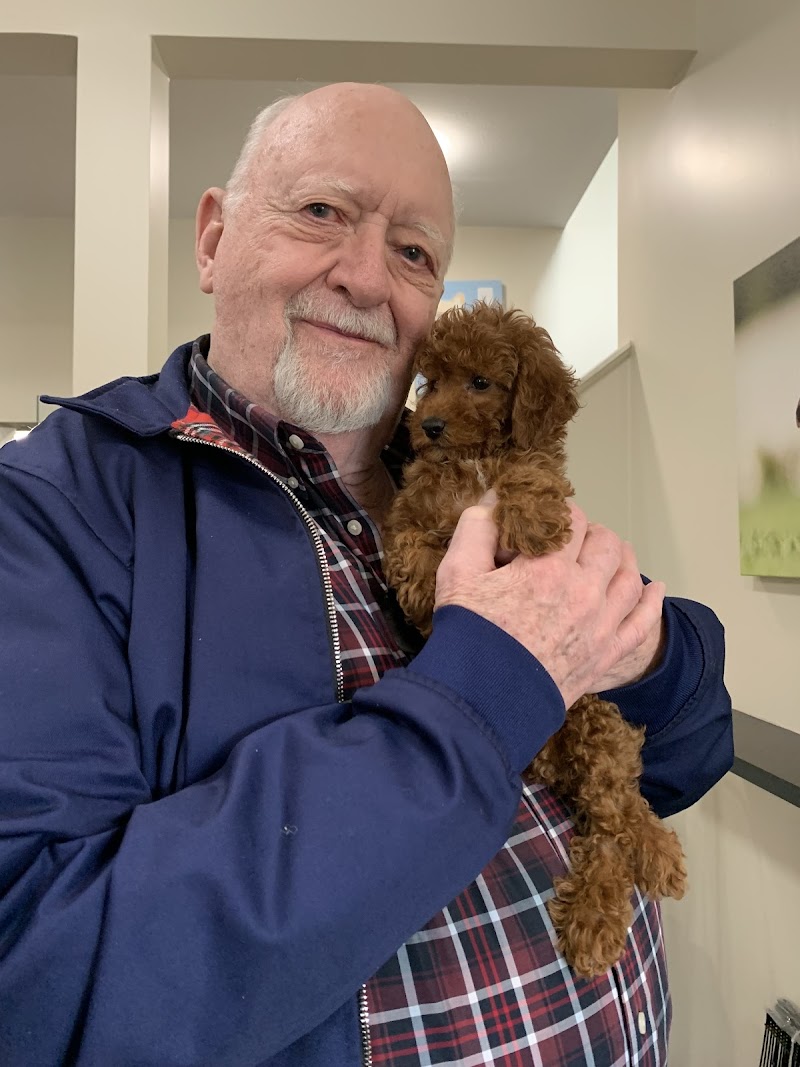 Twilight - Well Pets photo 3