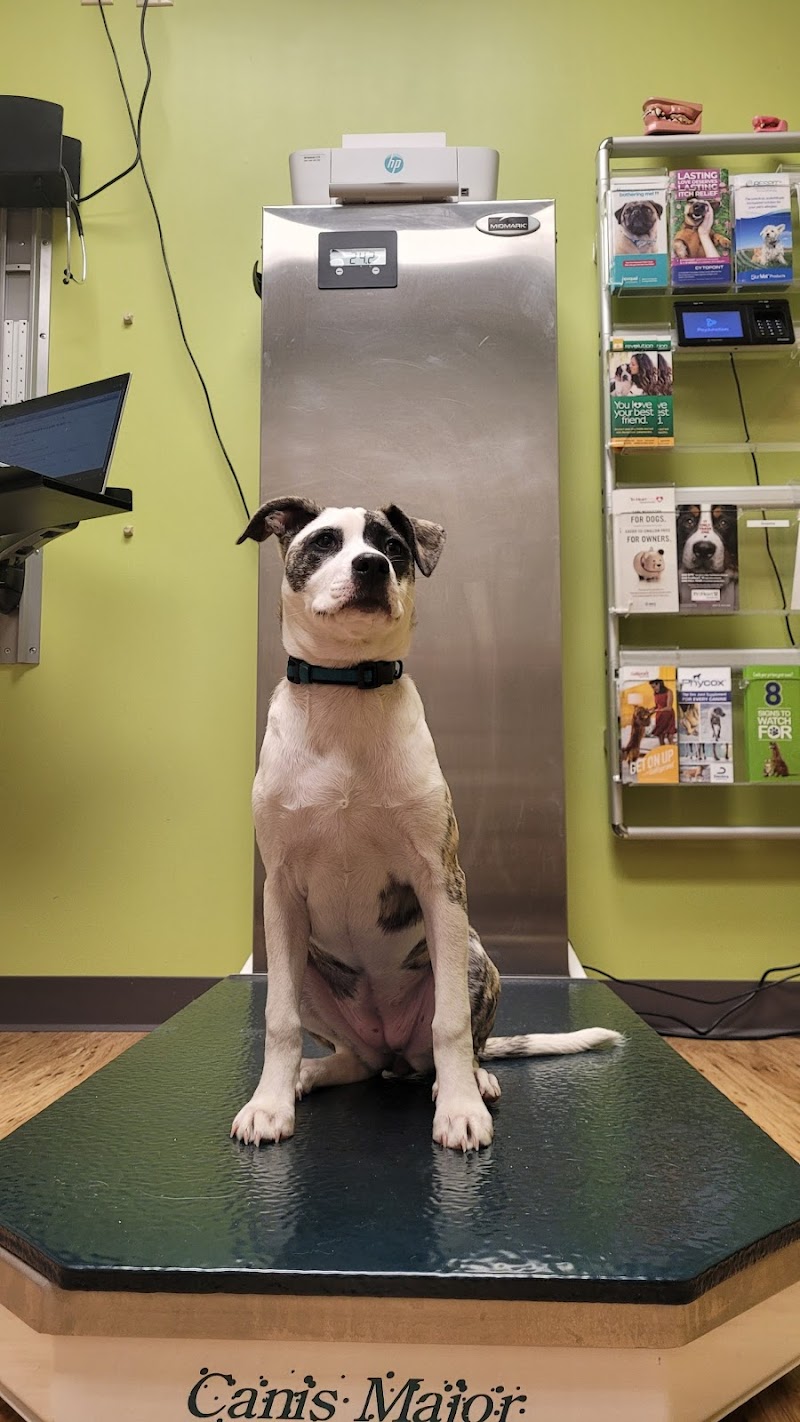 Daisy Lane Veterinary Clinic photo 3