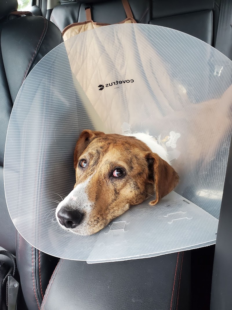 IndyHumane Downtown Clinic photo 2