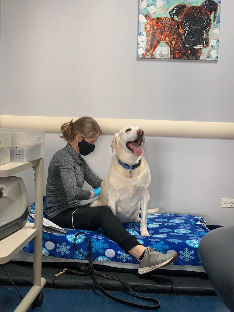 Integrative Pet Care photo 2