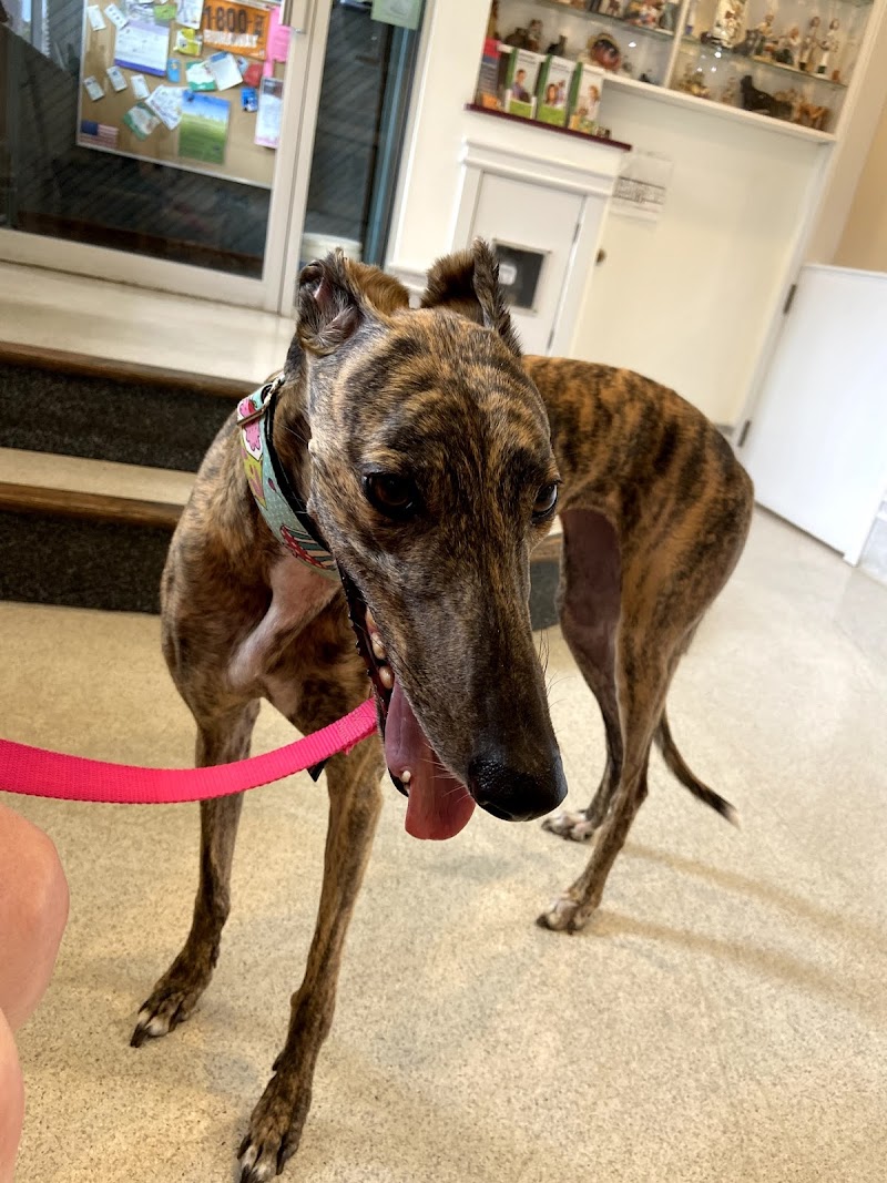 Lincoln Park Dog & Cat Clinic