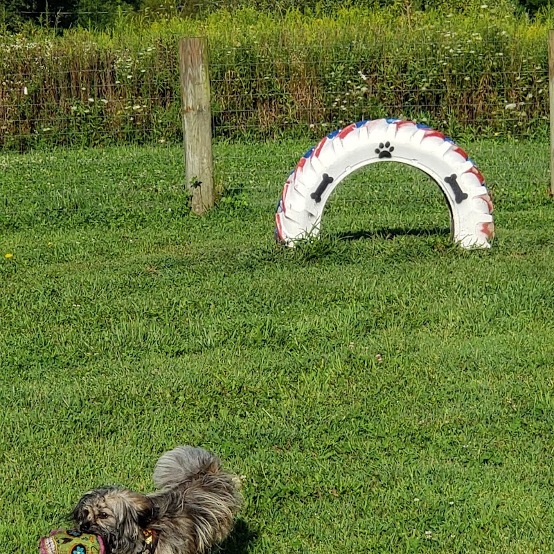 Brimfield Memorial Dog Park photo 2