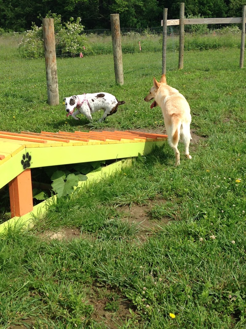 Brimfield Memorial Dog Park photo 3