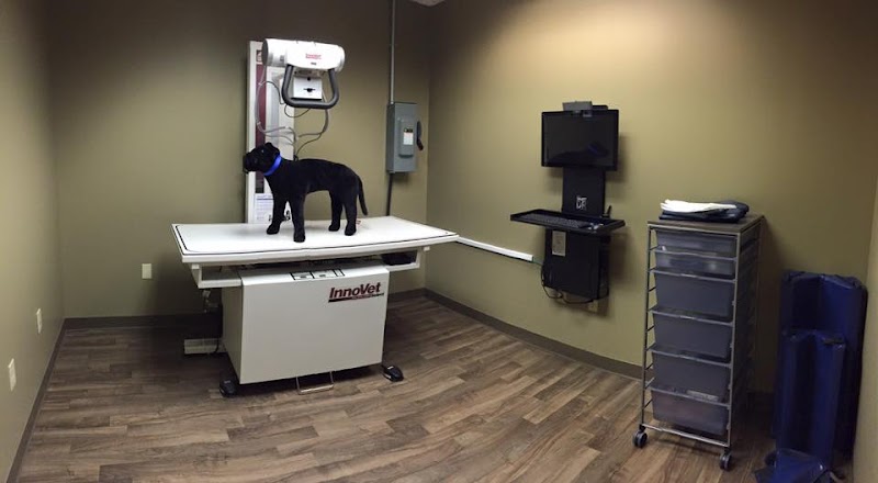 Integrative Veterinary Service