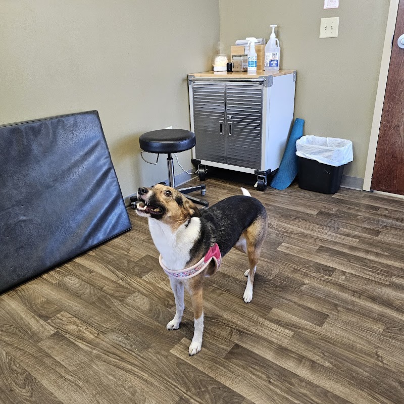 Integrative Veterinary Service photo 3