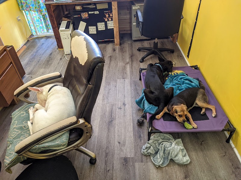 The Grooming Lodge photo 3