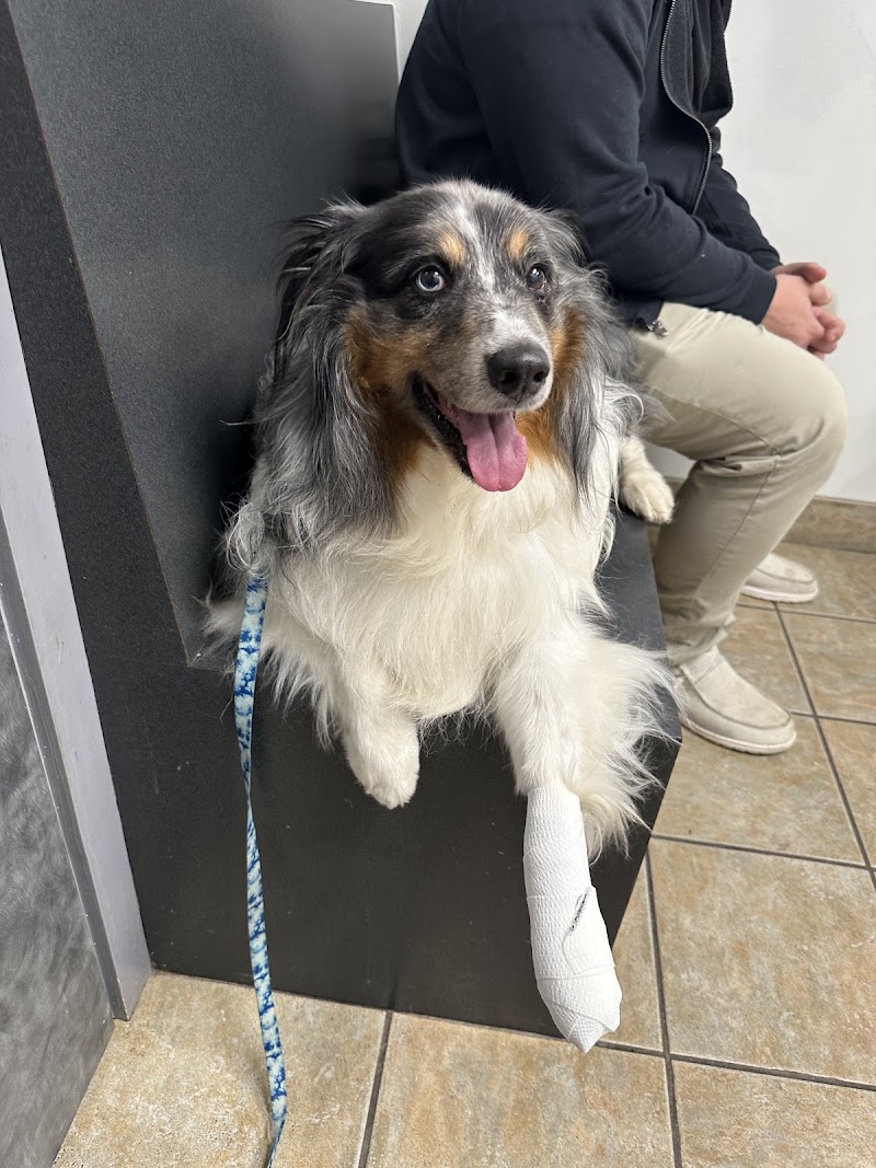 Airport Animal Emergi-Center