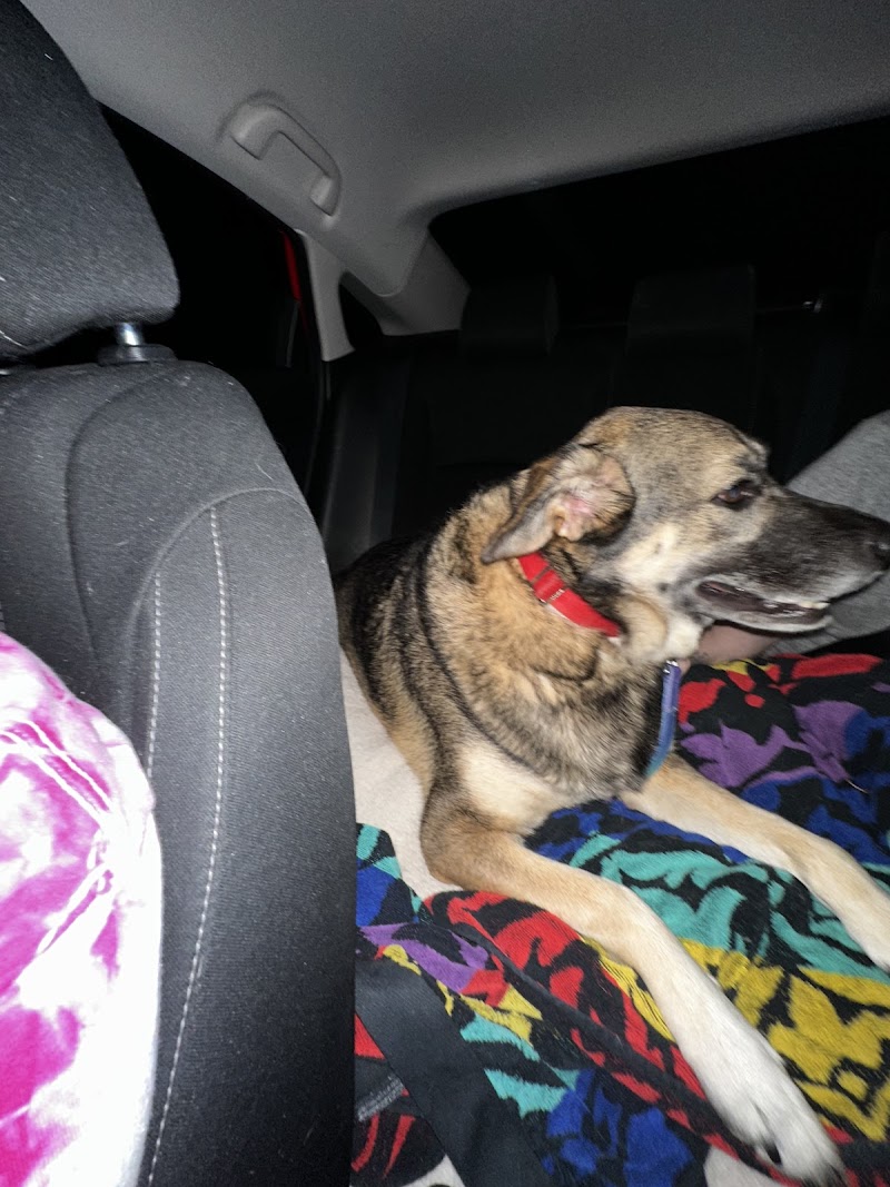 Airport Animal Emergi-Center photo 2